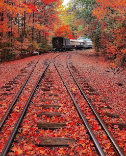 Train on leaf-covered railroad tracks surrounded by brilliant red and orange autumn foliage