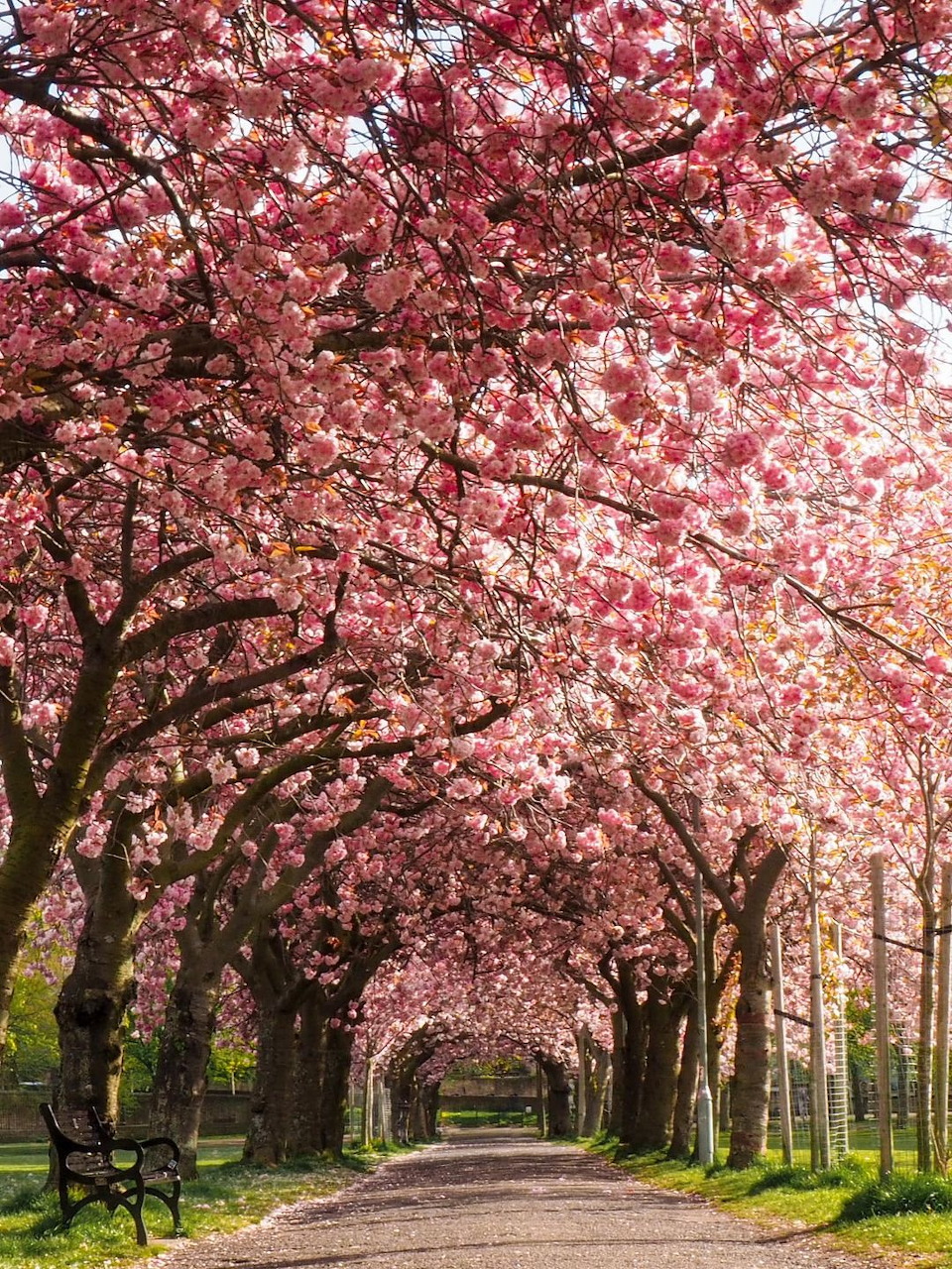 Vertical landscape photograph of an outdoor natural scene