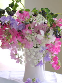 Bouquet of pink, purple, and white sweet peas with Queen Anne's lace in a white pitcher vase