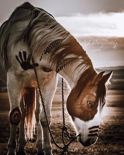 Paint horse with Native American handprint and feather body art standing outdoors