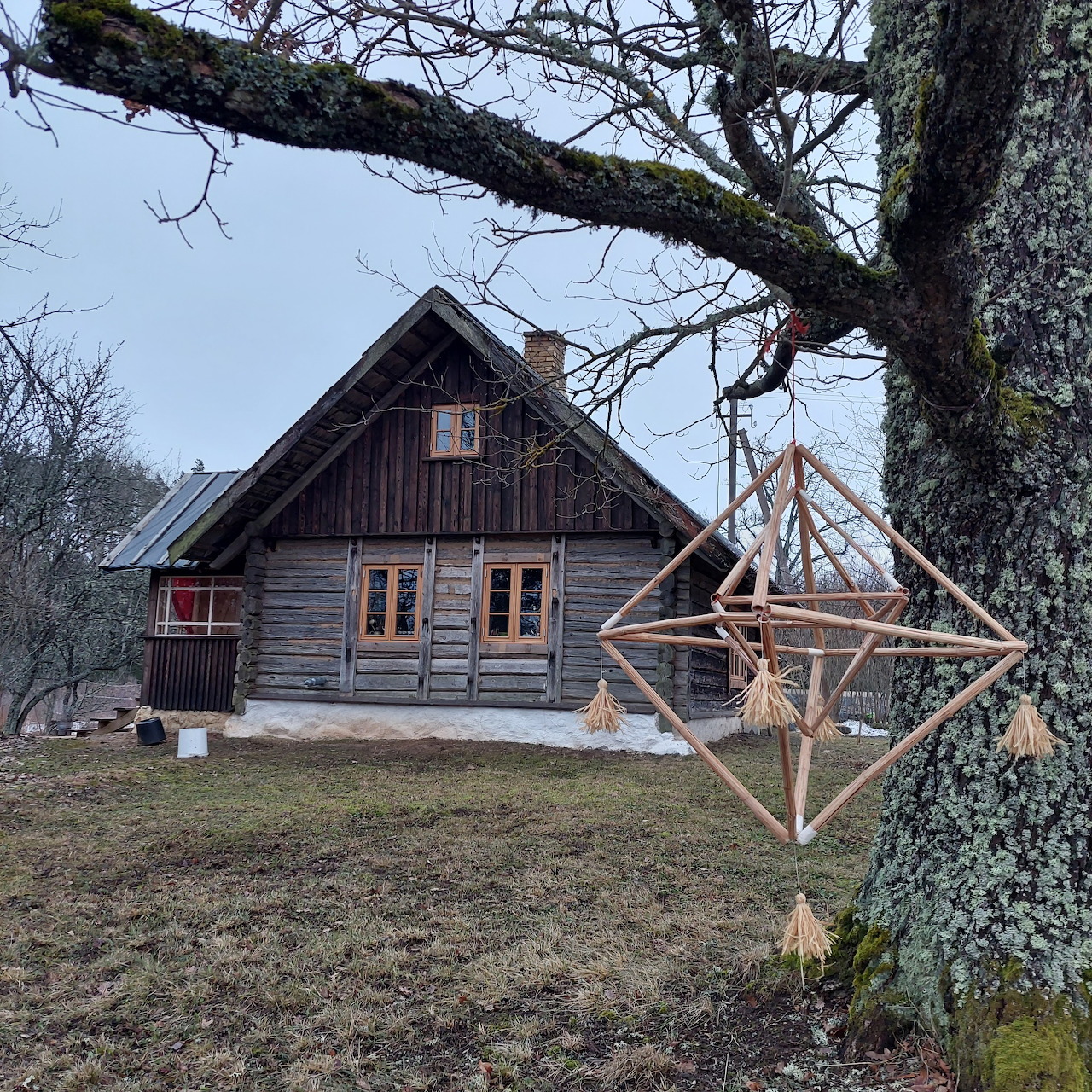 Rustic wooden house beside a tree with a hanging straw ornament in a grassy yard