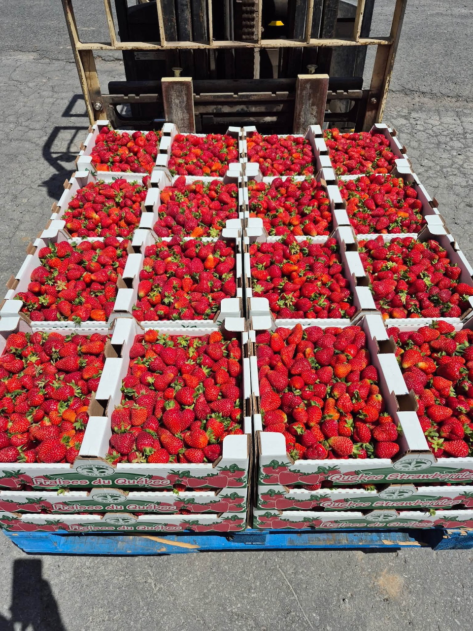 Strawberry Crates