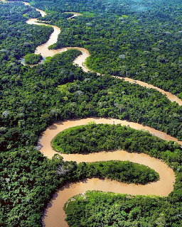 Amazonas River Aerial View
