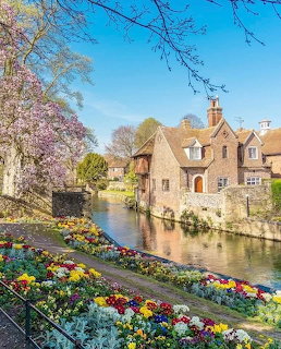 Stone cottage by a river with colorful spring flower beds and a bloming magnolia tree in Cotswolds