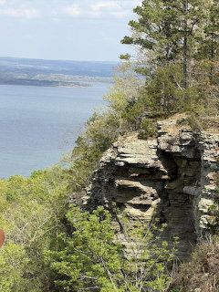 Rocky limestone bluff with pine trees overlooking a wide river on a sunny day
