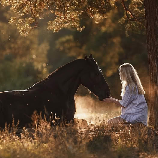 Woman sitting beside a dark horse in a golden sunlit field under trees