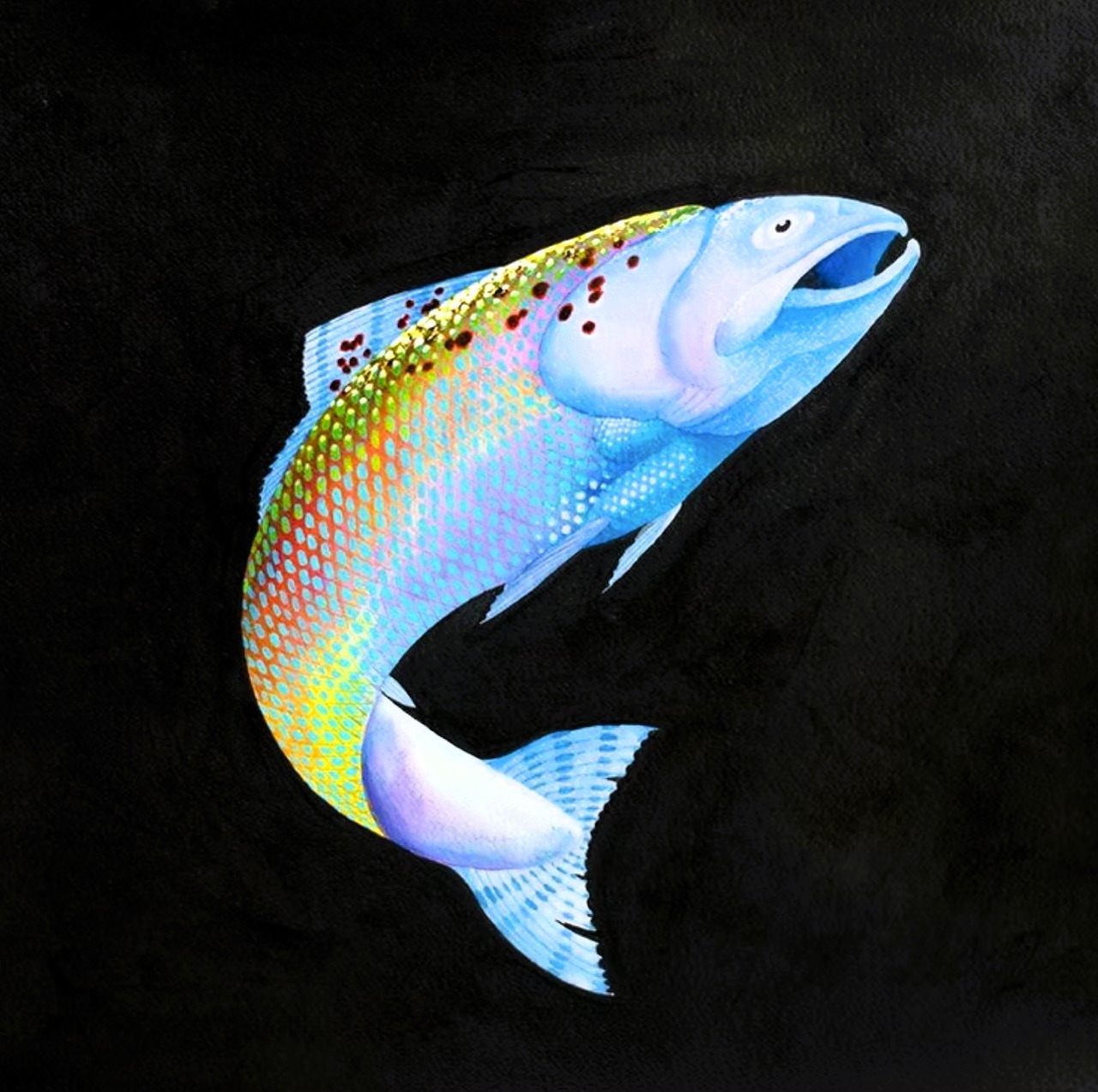 Colorful fish on a black background