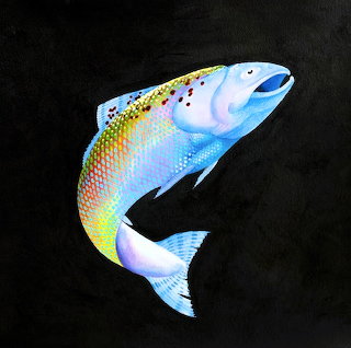 Colorful Fish