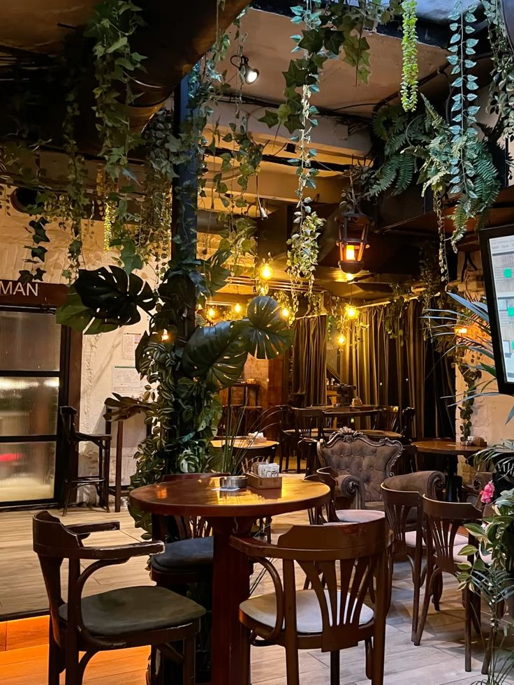 Cozy cafe interior with hanging greenery, wooden chairs and tables, warm ambient lighting