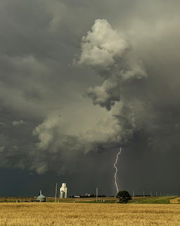 Lightning beneath dark storm clouds over a golden field with distant farm buildings
