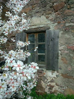 Stone Cottage Spring Blossoms