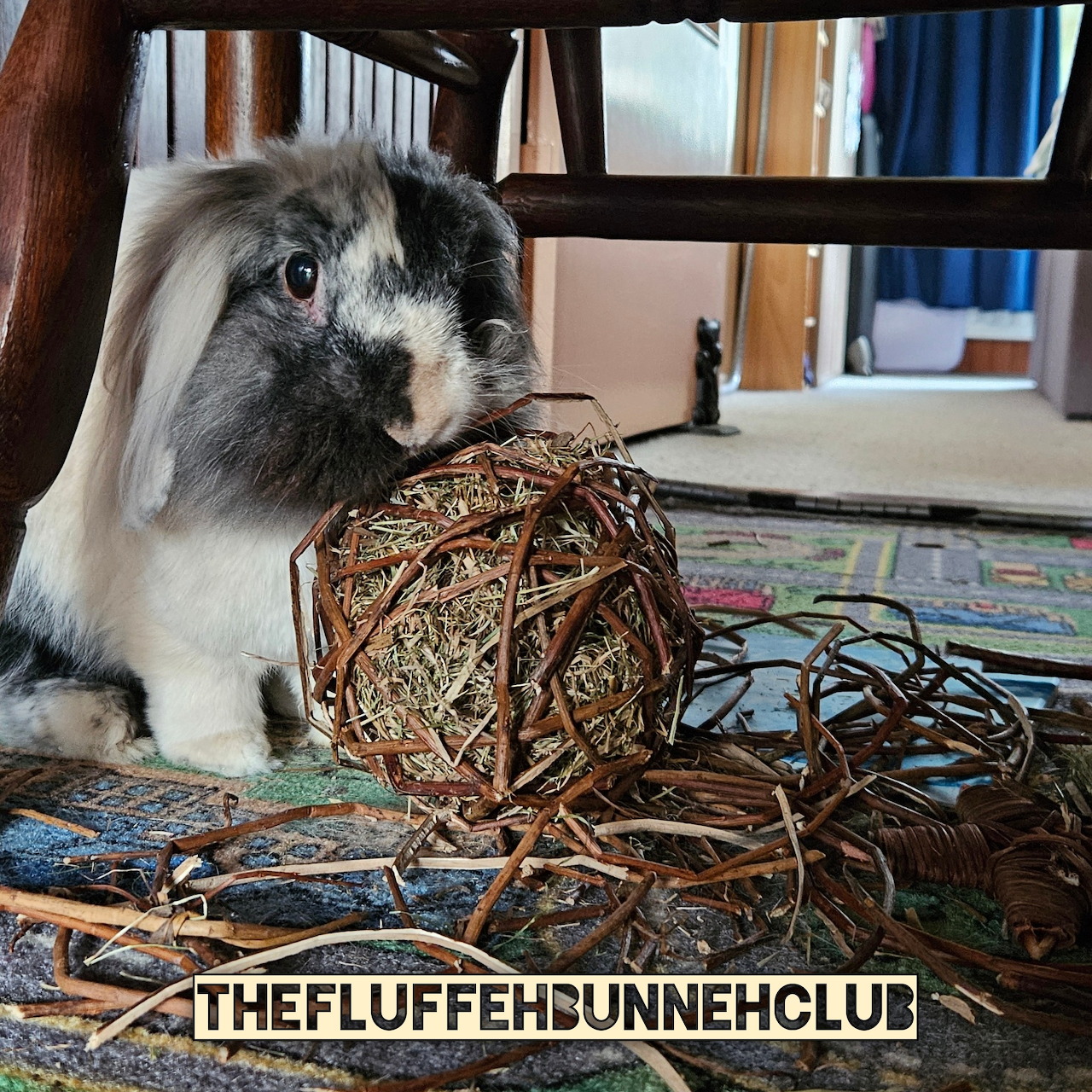 Gray and white lop-eared buny next to a round wicker toy ball on a patterned rug indoors
