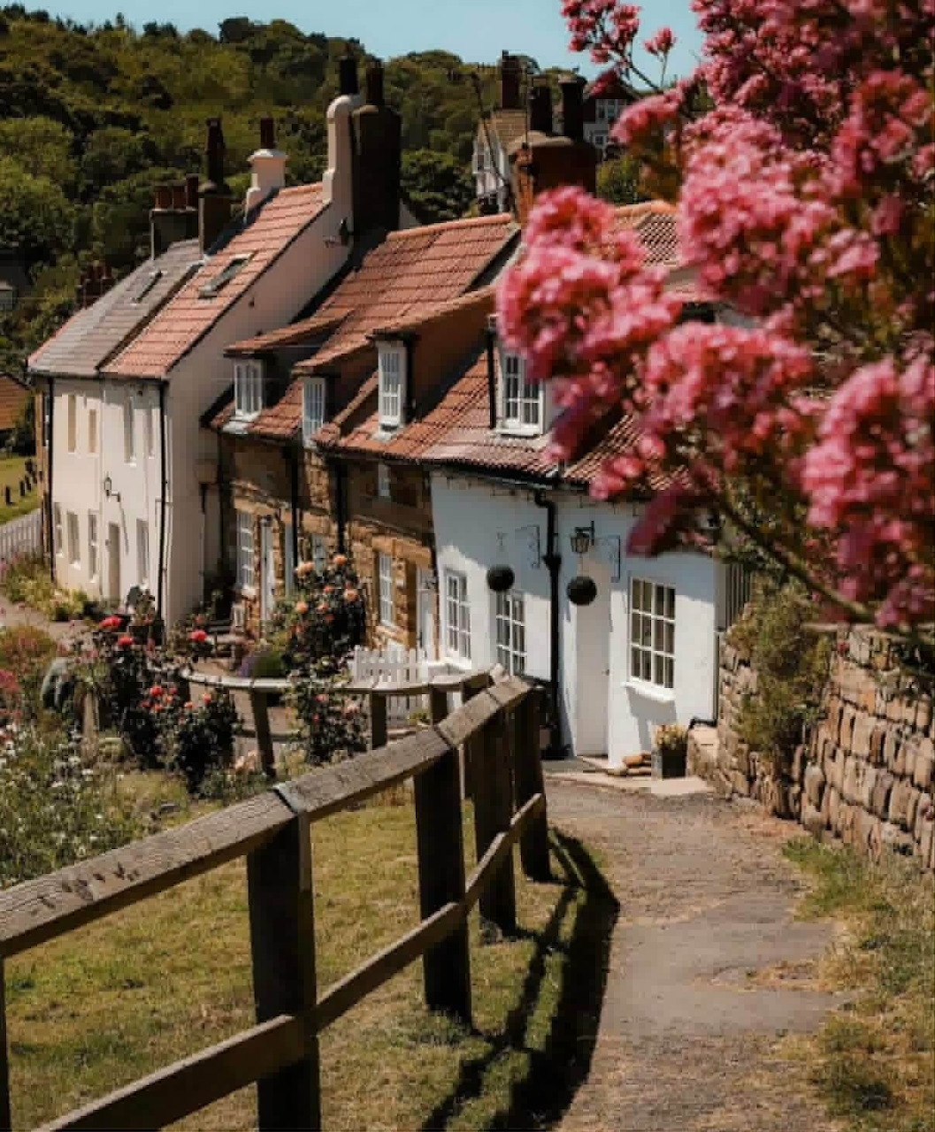 Row of English cottages with orange roofs along a narrow path with wooden fence and pink blossoms
