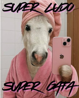 Horse Selfie in Bathrobe