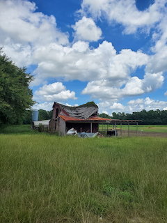 Dilapidated wooden barn with damaged roof in a green grassy field under a cloudy blue sky