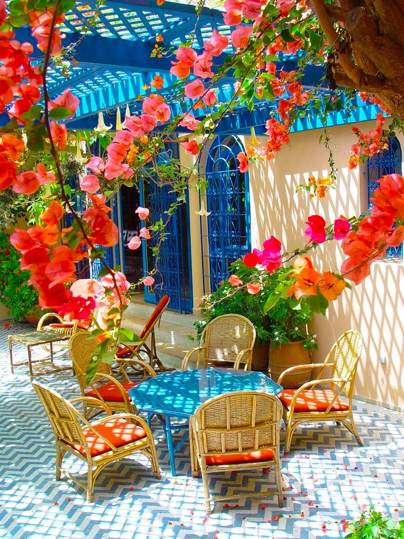Mediterranean Patio Bougainvillea