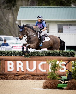 Horse Show Jumping