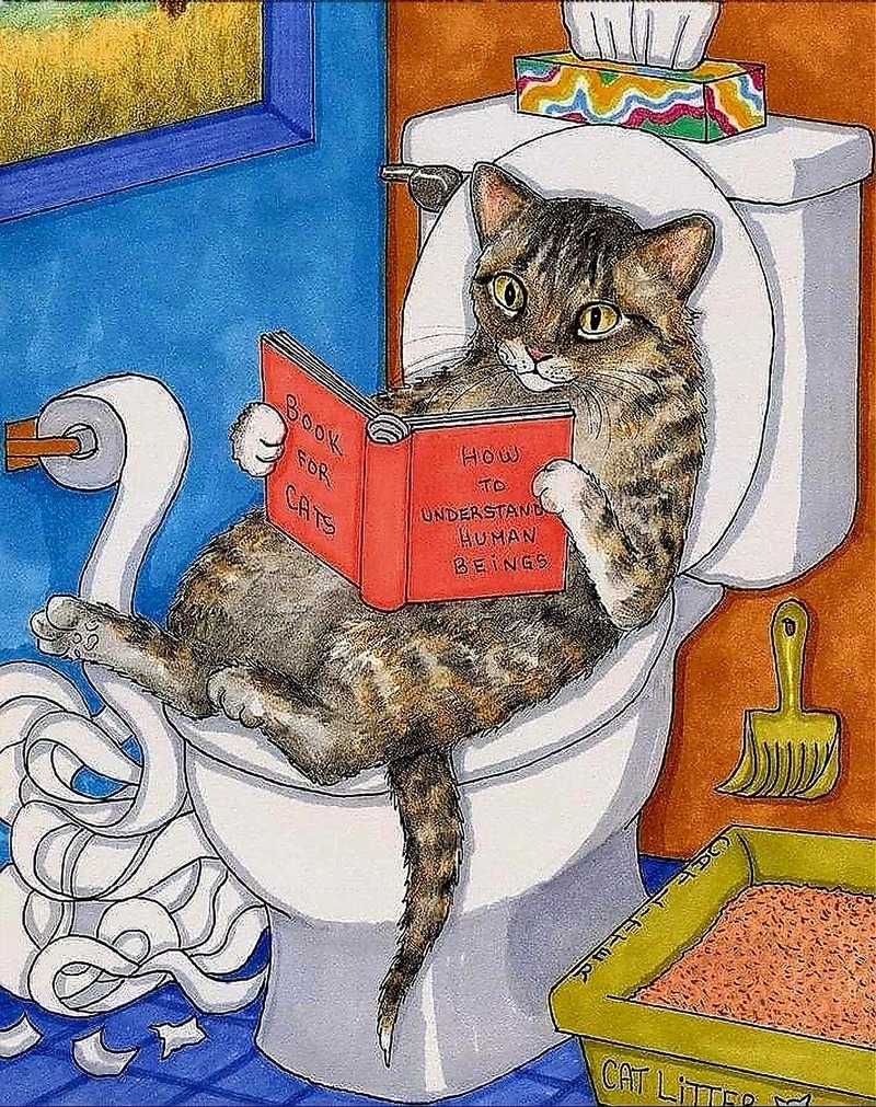 Cat Reading on Toilet