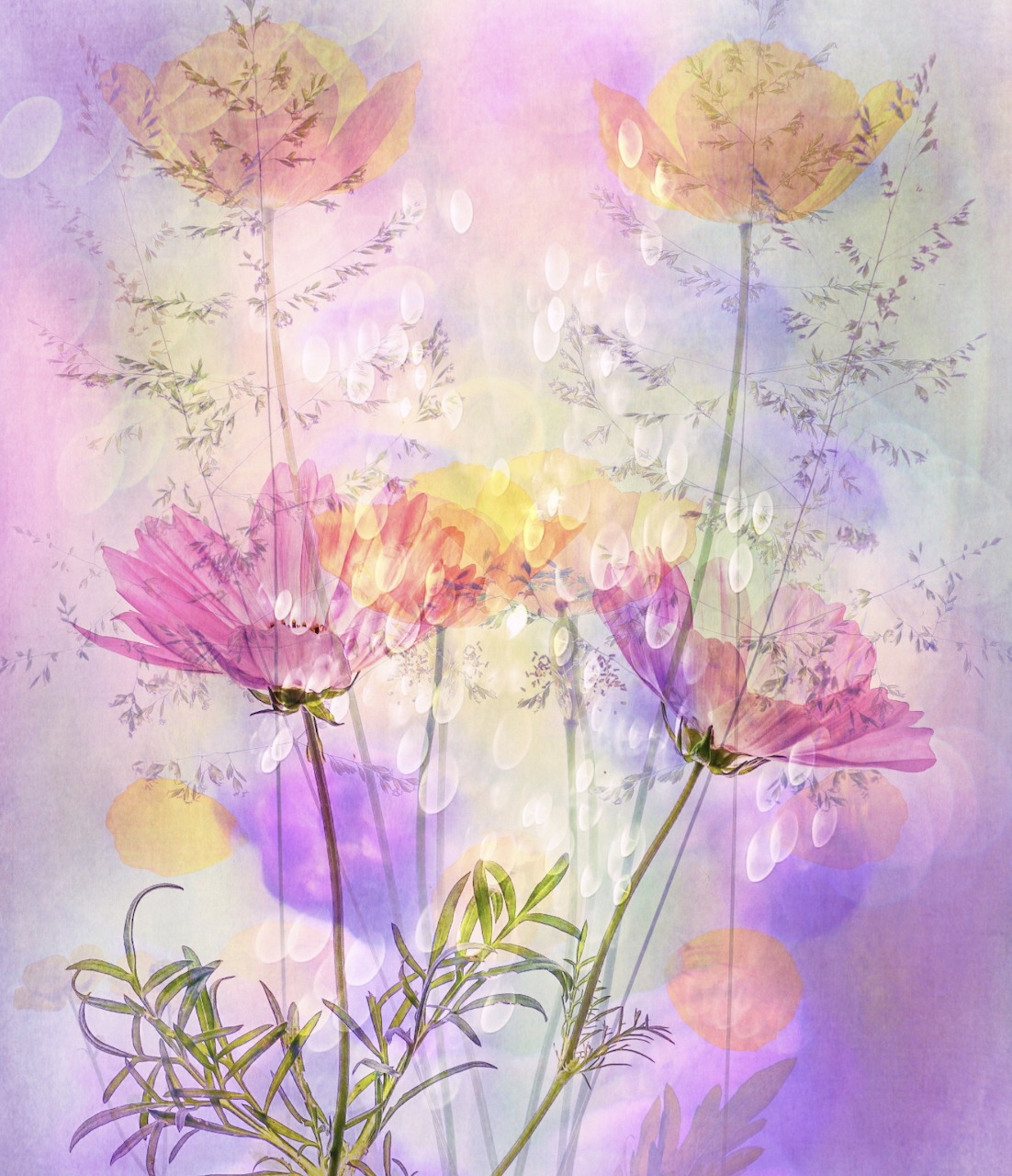 Watercolor-style pink and purple flowers on a soft pastel abstract background
