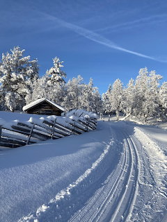 Snowy road curving past a small cabin and frost-covered trees under a blue sky