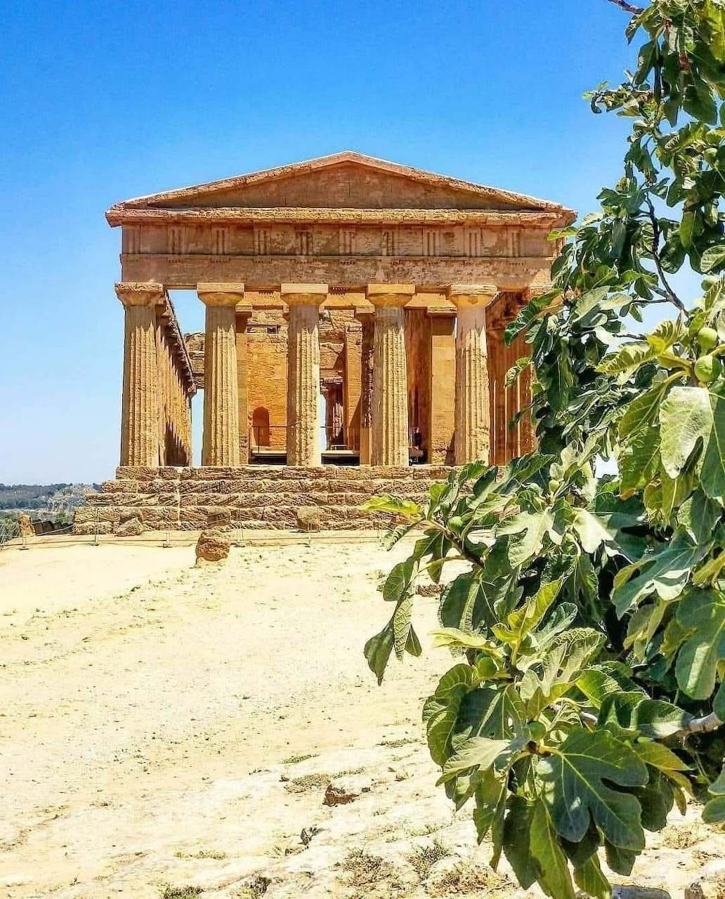 Ancient Doric Temple of Concordia with limestone columns in Agrigento, Sicily