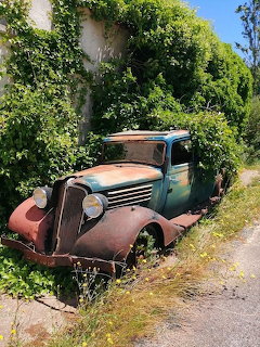 Rusty vintage truck with blue-green cab overgrown by green vines and bushes near an old building