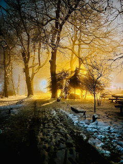 Golden sunrise through bare trees along a snowy park path with benches