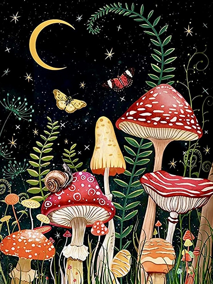 Illustration of red and yellow mushrooms with butterflies, snail, and ferns under crescent moon and stars at night