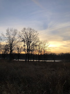 Bare trees silhouetted against sunset sky over lake in winter forest preserve