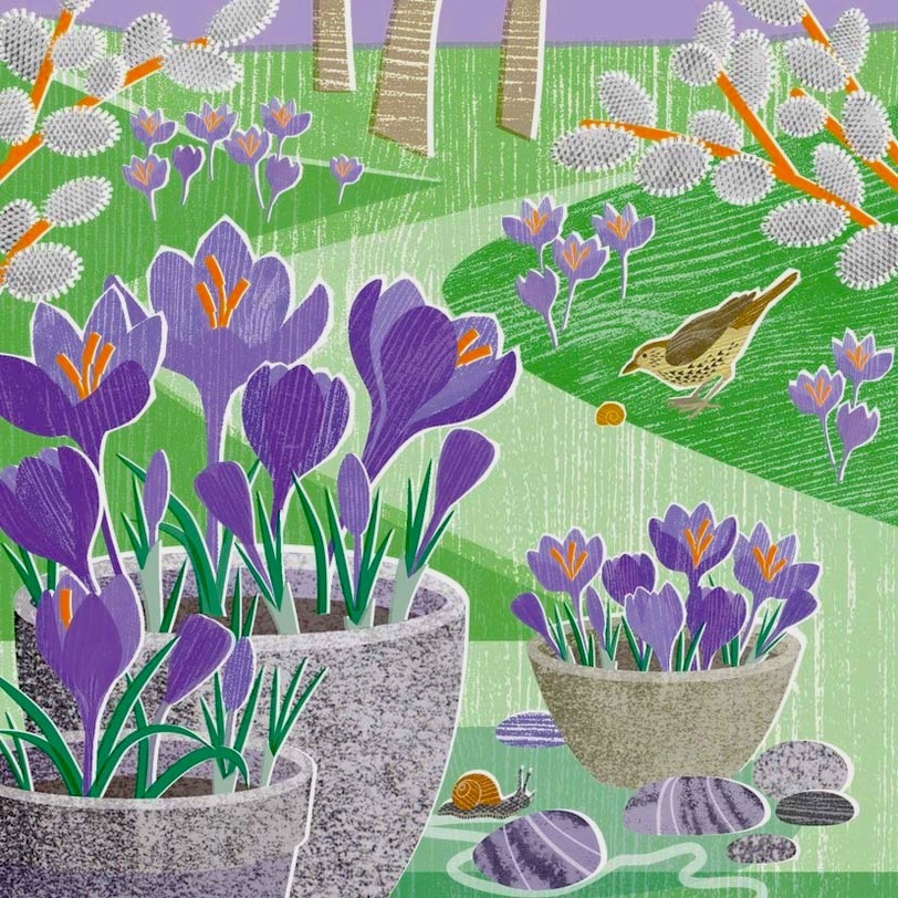 Linocut print of purple crocus flowers in pots with a thrush bird and colorful snails in a spring garden scene