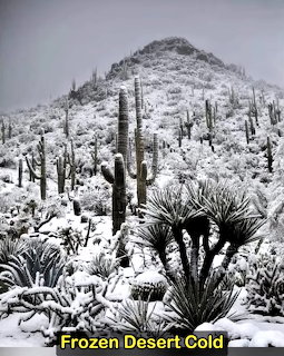 Desert landscape with saguaro cacti and yucca plants covered in snow against a snowy hillside