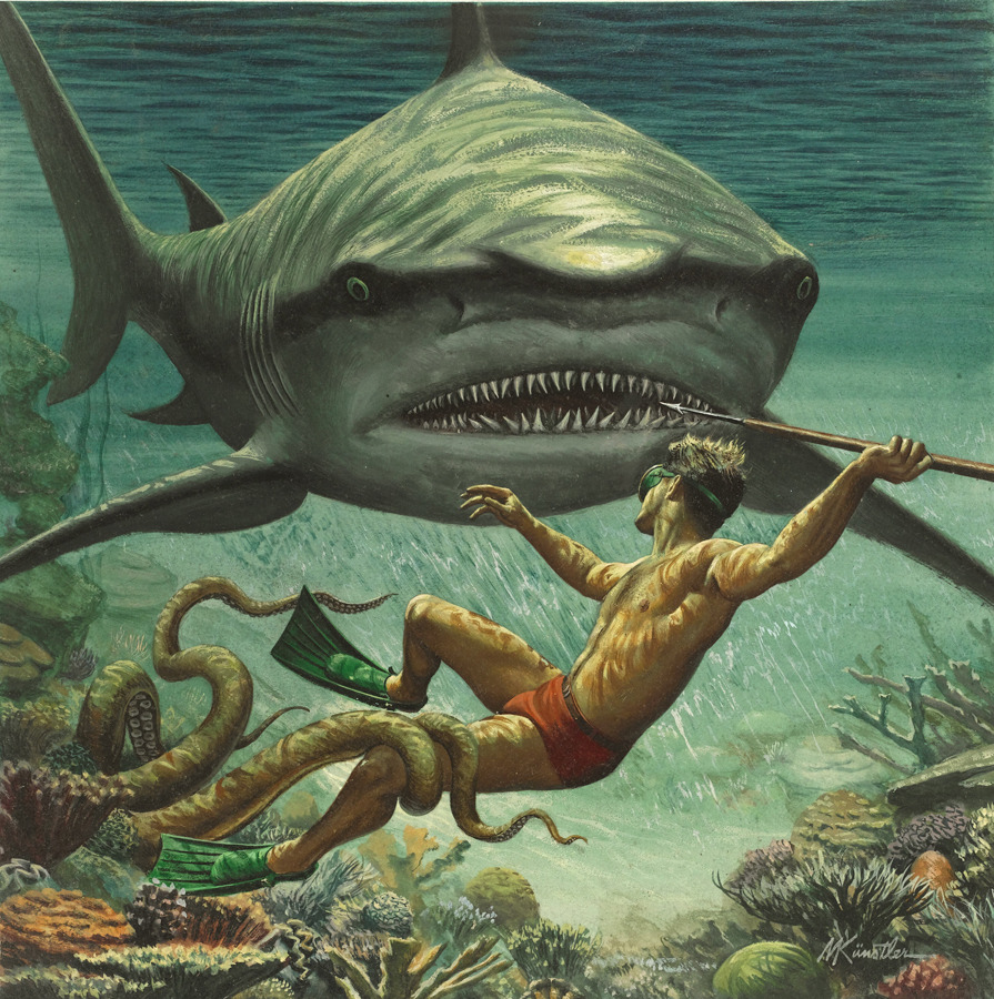 Diver Fighting Shark