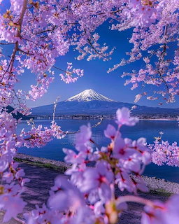 Mount Fuji framed by pink cherry blossoms under a blue sky