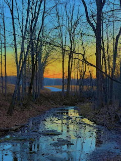 Leafless forest with a reflective flooded path at twilight and an orange sunset on the horizon