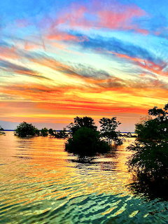 Colorful sunset sky with orange and blue hues over calm water with mangrove trees in silhouette