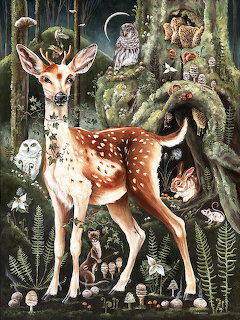 Illustrated fawn standing in a dark enchanted forest with owls, rabbits, mushrooms, and ferns