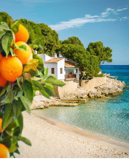 White house on rocky Mediterranean coast with turquoise sea, sandy beach, and orange tree in foreground