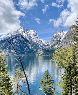 Snow-capped mountains towering over turquoise Jenny Lake with pine trees in the foreground