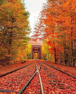 Vermont Autumn Railroad