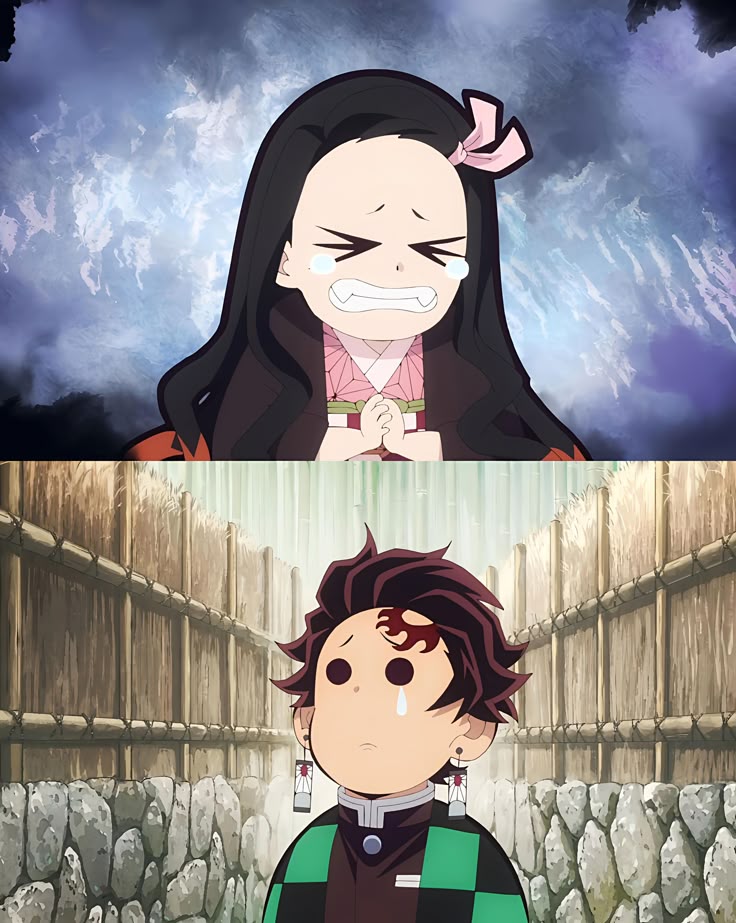 Nezuko and Tanjiro Kamado from Demon Slayer anime in two stacked portrait panels
