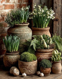 Assorted terracotta pots with spring bulbs, snowdrops, ferns, and moss arranged against a rustic brick wall