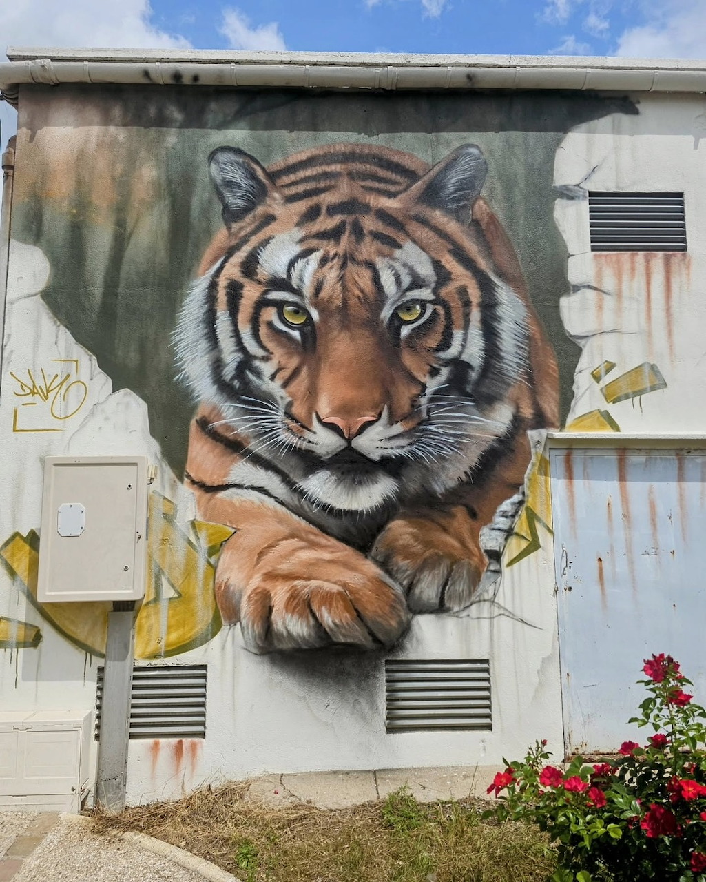 Tiger Street Art Mural