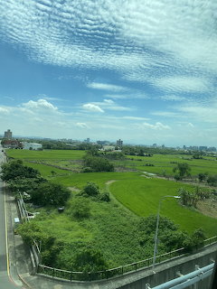 Aerial view of green rice fields and rural buildings under a blue sky with wispy clouds