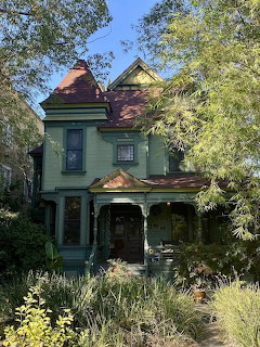 Green Victorian house surrounded by overgrown grasses and trees