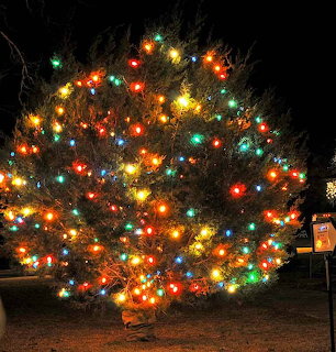Christmas Tree Lights