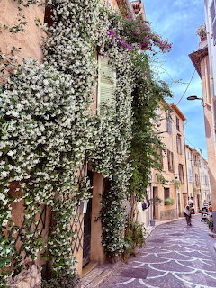 Narrow cobblestone street in Antibes with flowering vines on colorful buildings