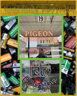 Pigeon Photography Co storefront collage with film rolls border and vintage camera logo, est2013
