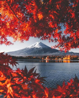Mount Fuji across a lake framed by bright red autumn maple leaves