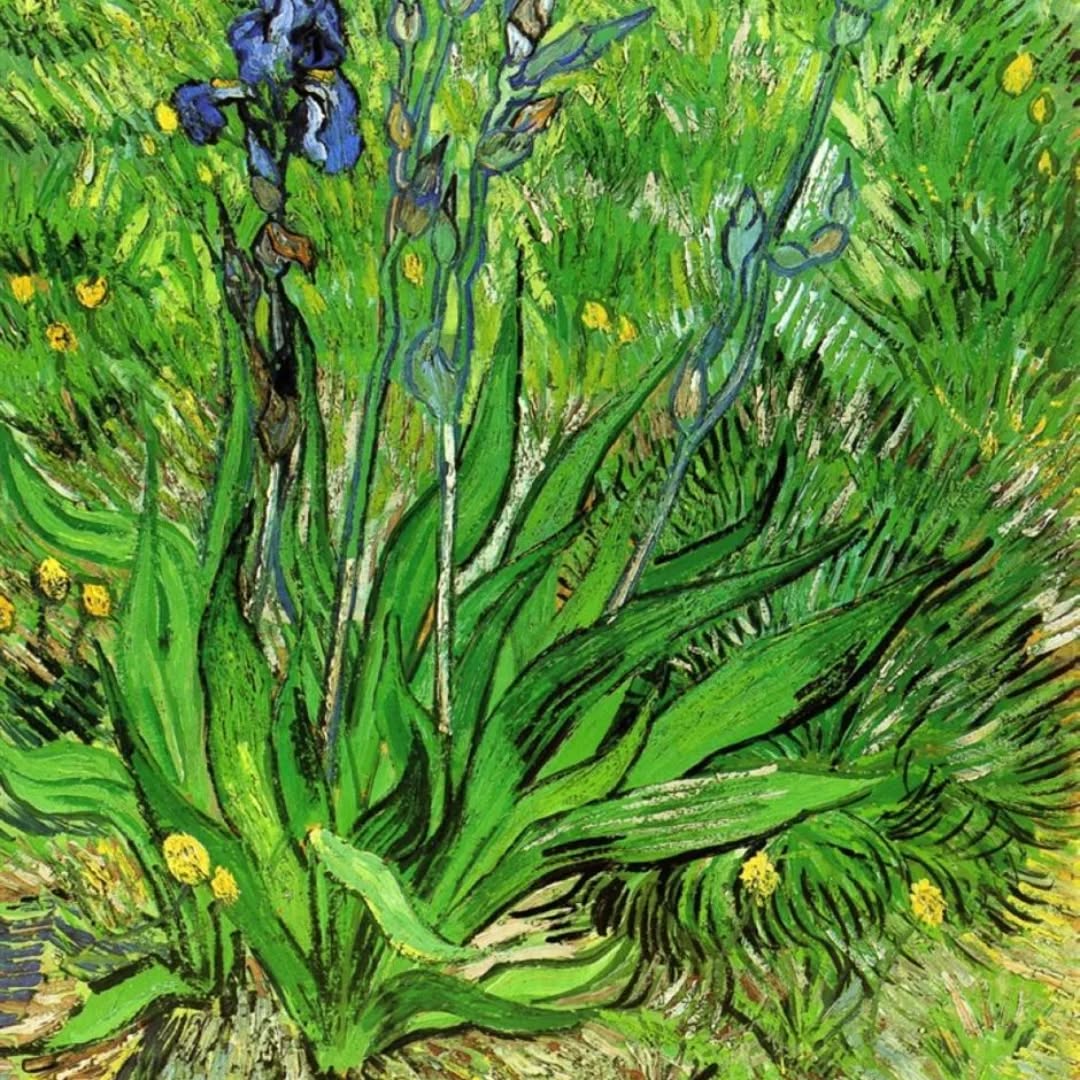 Van Gogh painting of purple iris flowers with expressive green brushstrokes and yellow blooms