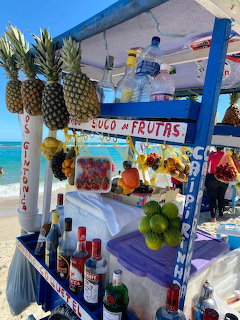 Colorful beach fruit stand with pineapples, coconuts, and bottles displayed near the ocean